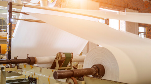 Paper & Pulp
